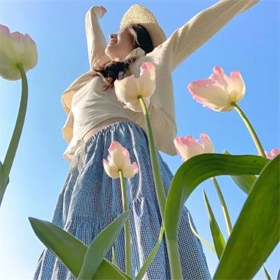 艾莉塔:战斗天使